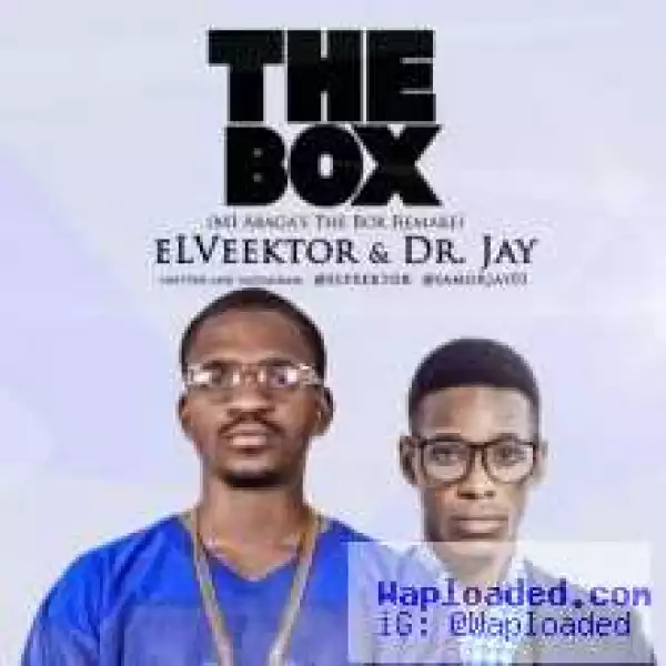 eLVeektor - The Box (MI Abaga Cover) ft. Dr Jay